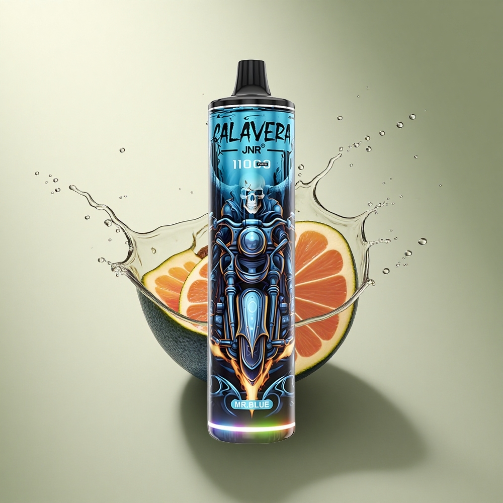 JNR Calavera 11000 De Blauwe met Type-C en 850 mAh
