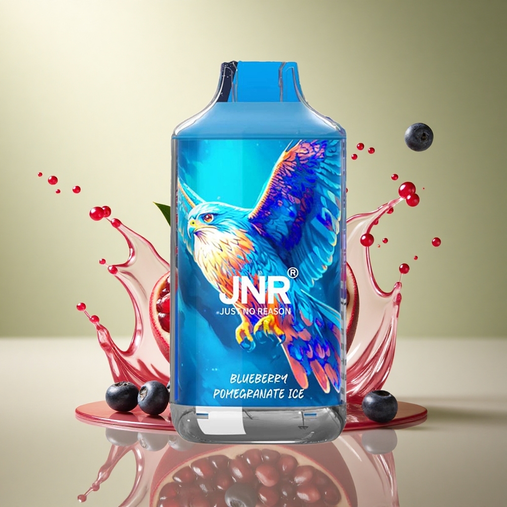 JNR Falcon 16000 Blauwe Bes Granaatappel IJs met 22ml vloeistof en 850 mAh batterij