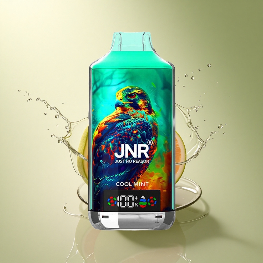 JNR Falcon X 18000 Frisse Munt Dual Core 24ml 750mAh