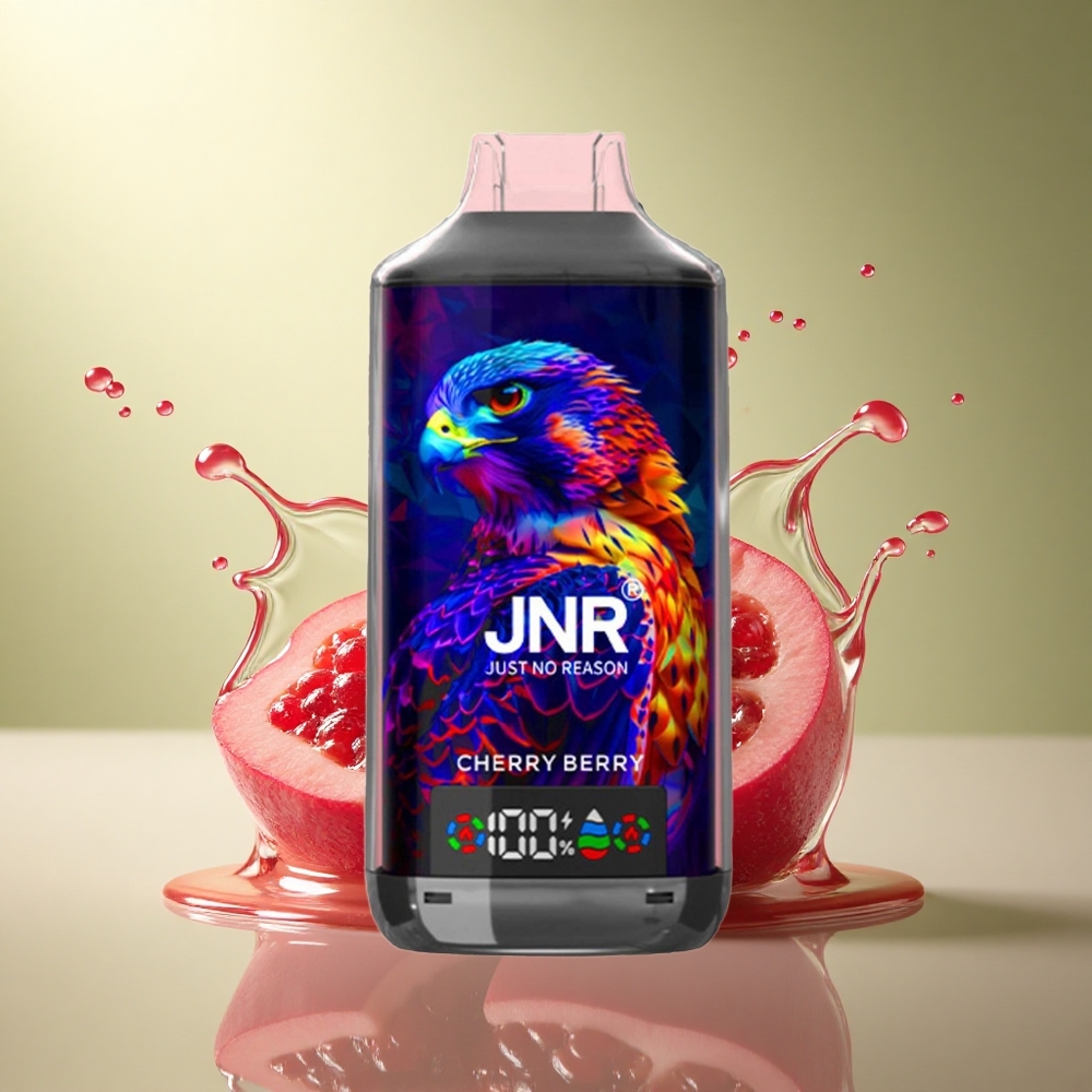 JNR Falcon X 18000 Kersbes Dual Mesh 24ml 5% Nicotine