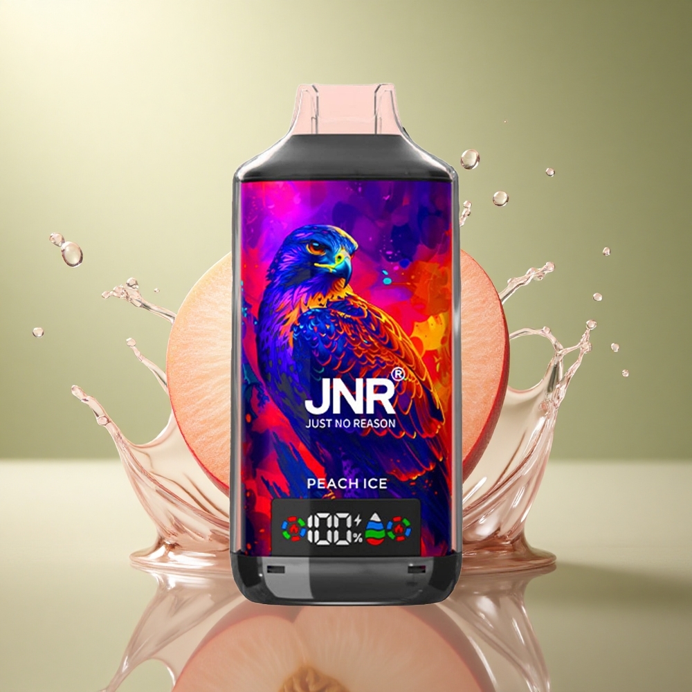 JNR Falcon X 18000 Perzik IJs 750mAh Dual Mesh