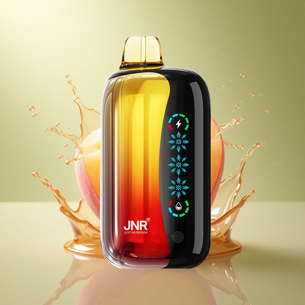 JNR Flex Ice 21000 Perzik Mango Ananas Dual Mesh 1000mAh