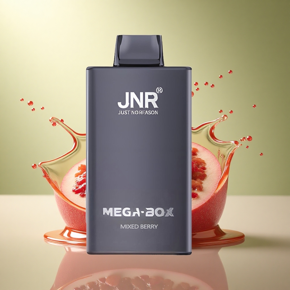 JNR Mega Box 25000 Bosbes Mix 850mAh Type-C